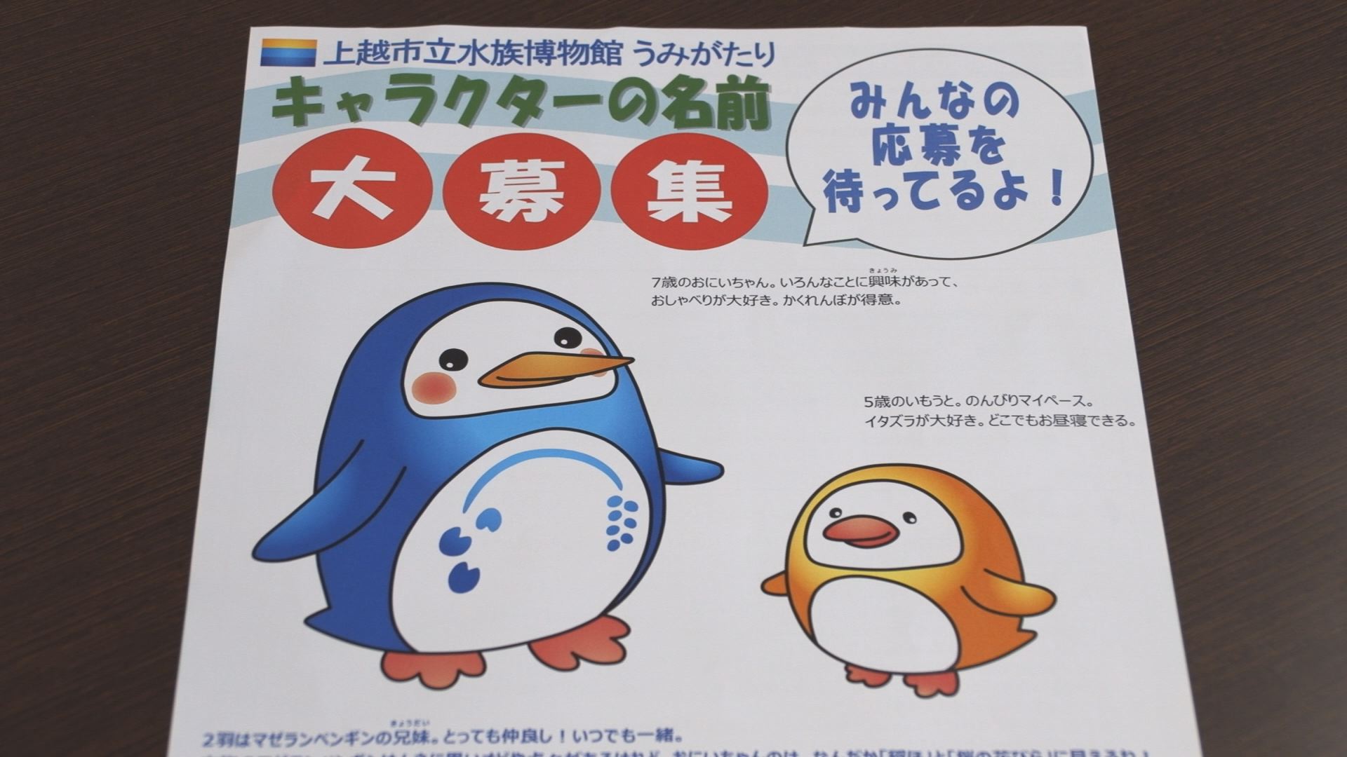 早ければ21日に発表　「うみがたり」公式キャラの名前