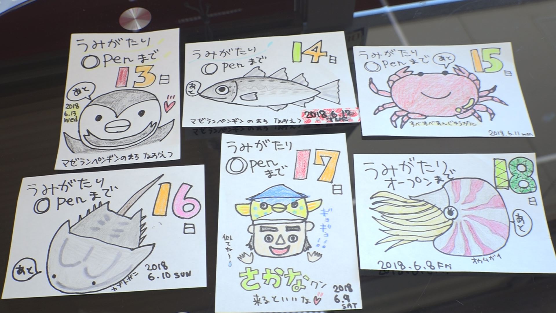うみがたりオープンまでイラストでカウントダウン発信！