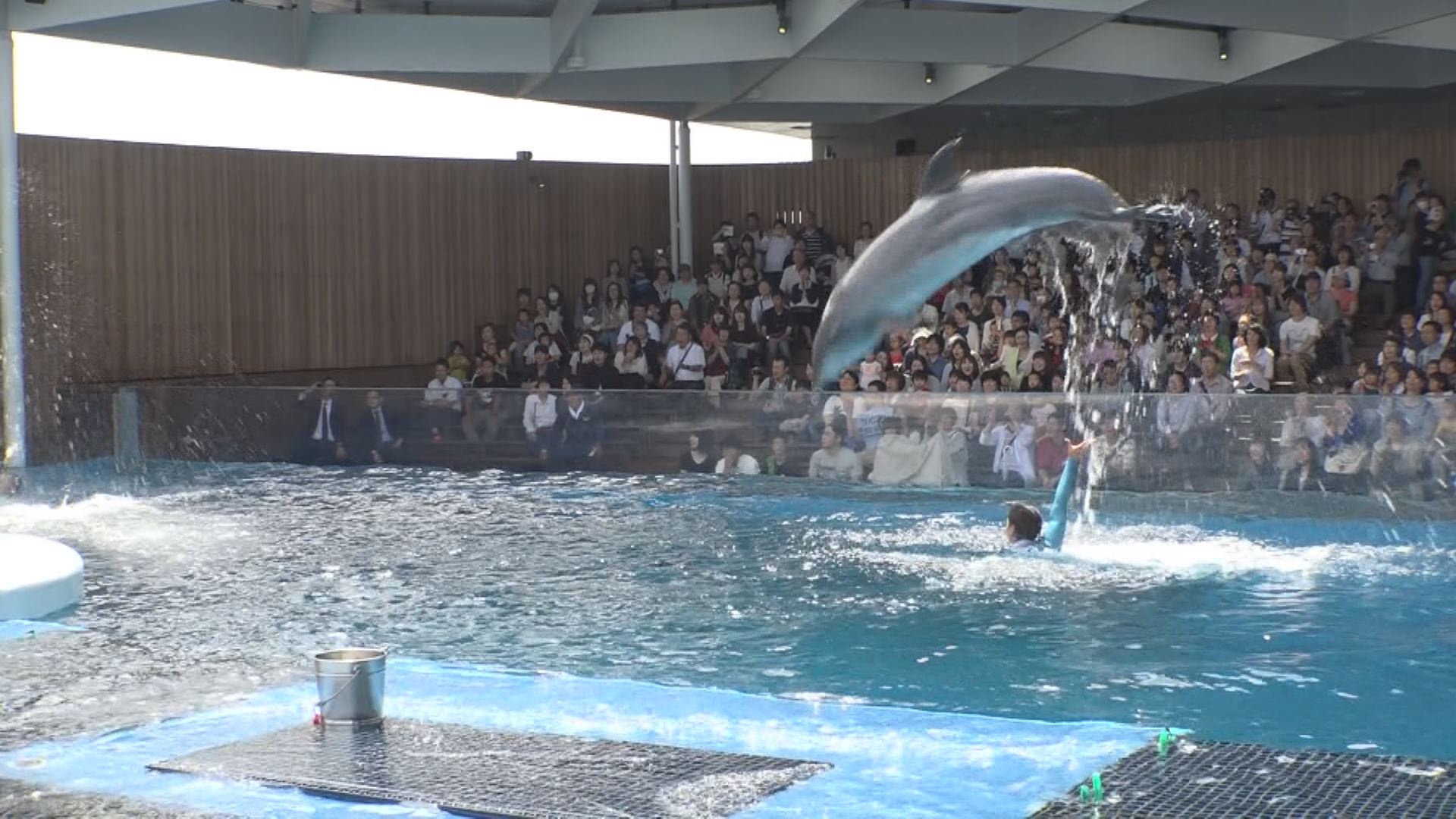 新水族博物館“うみがたり”　上越市民プレミアム・デー
