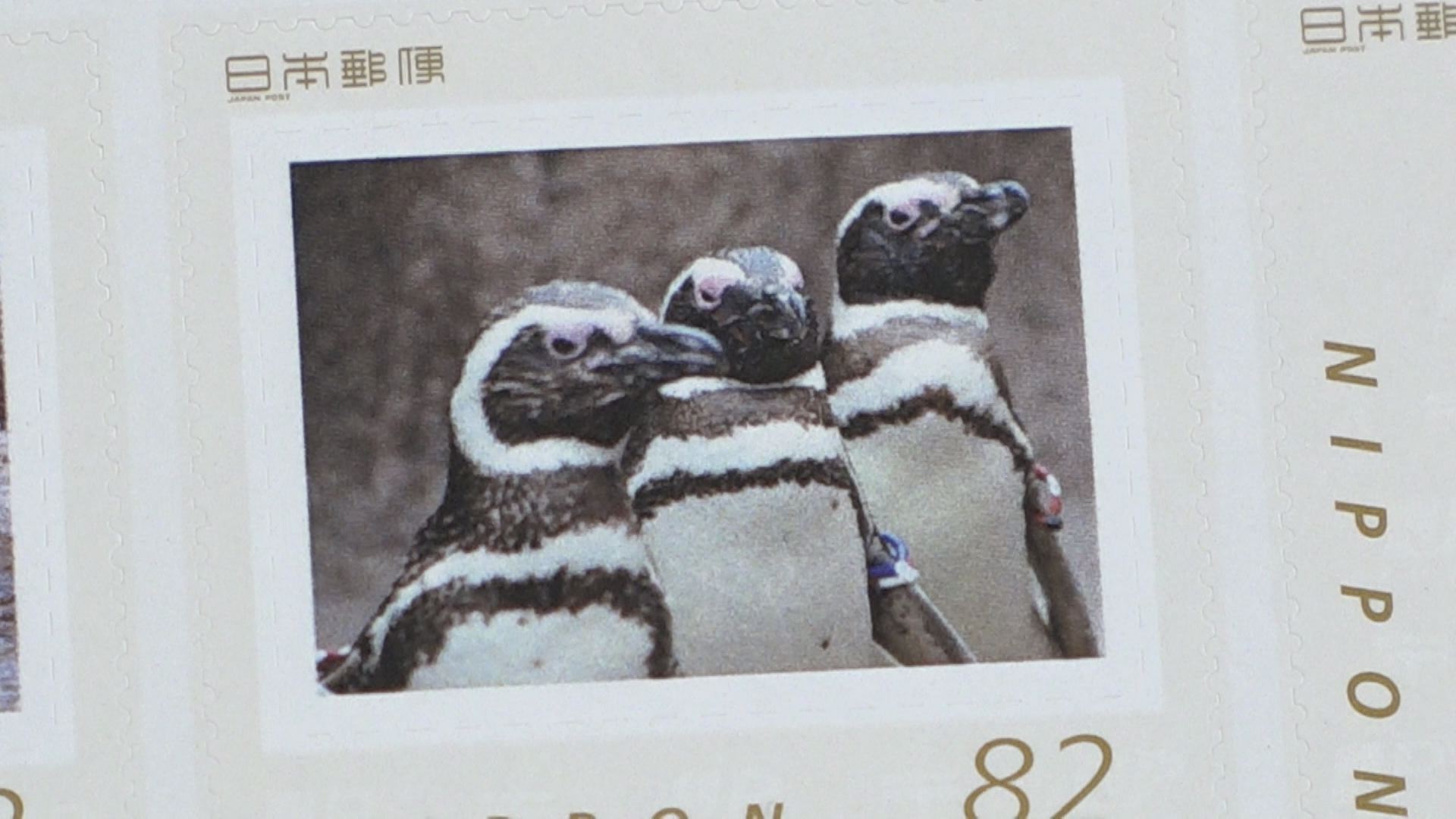マゼランペンギンをデザイン　フレーム切手セット29日に発売
