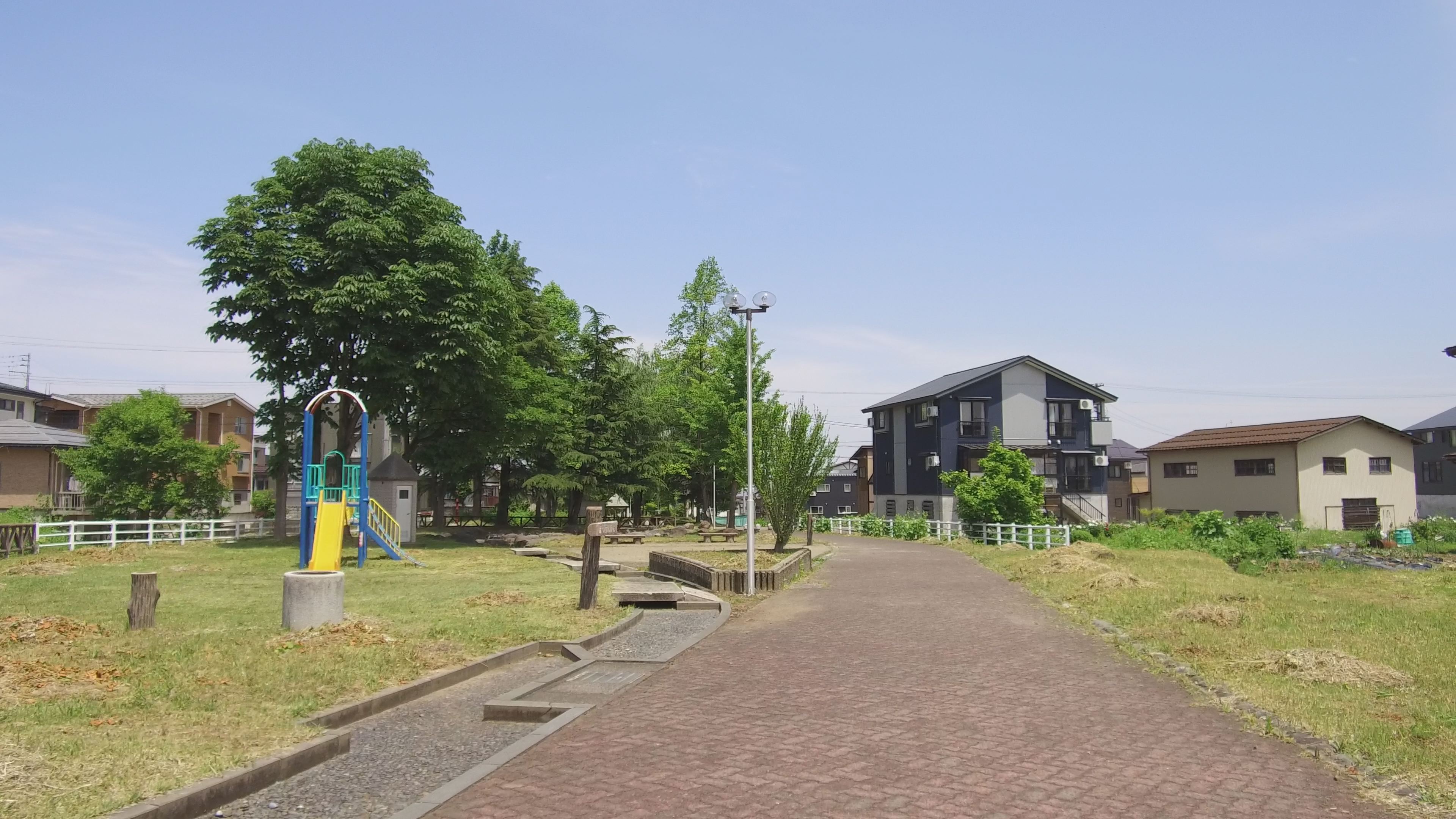 【動画】新井流雪緑道公園