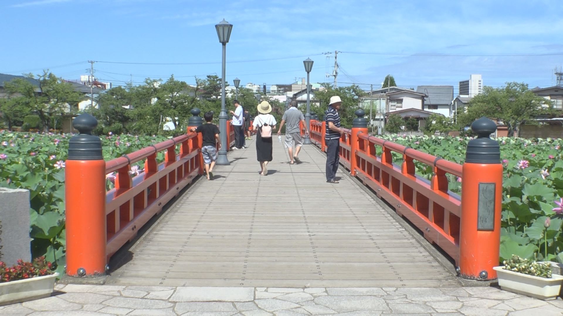 連日猛暑 高田35.8℃ 大潟34.2℃
