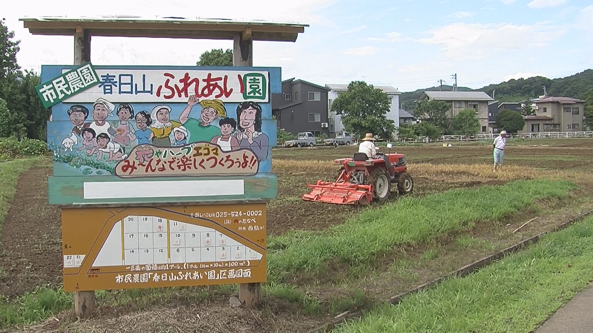 春日山ふれあい園1