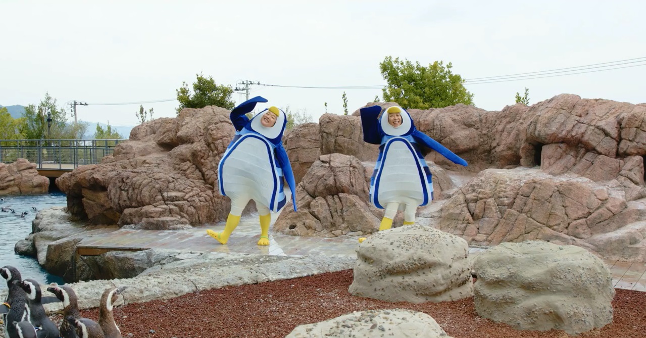 うみがたり  “ペンギンダンス”動画公開中！