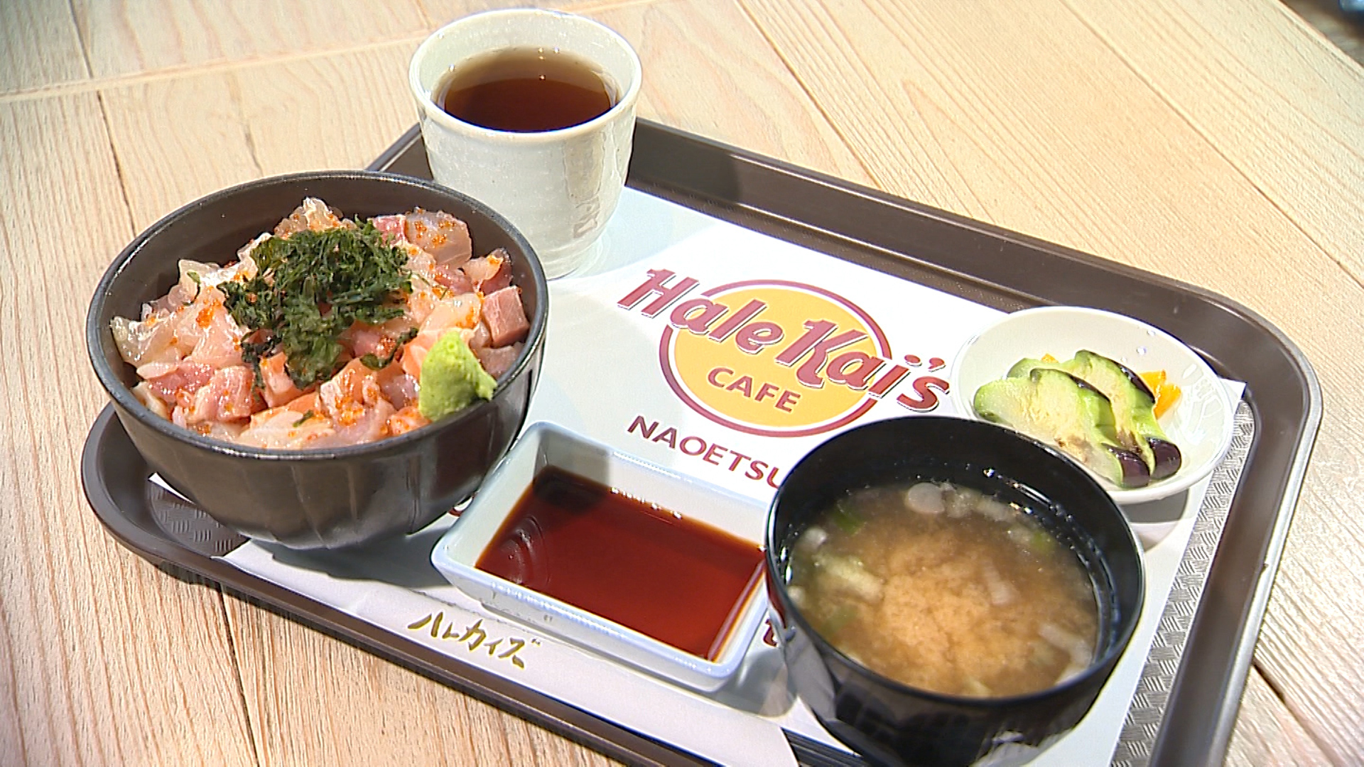 ハレカイズ（男気ハレカイズ丼1）