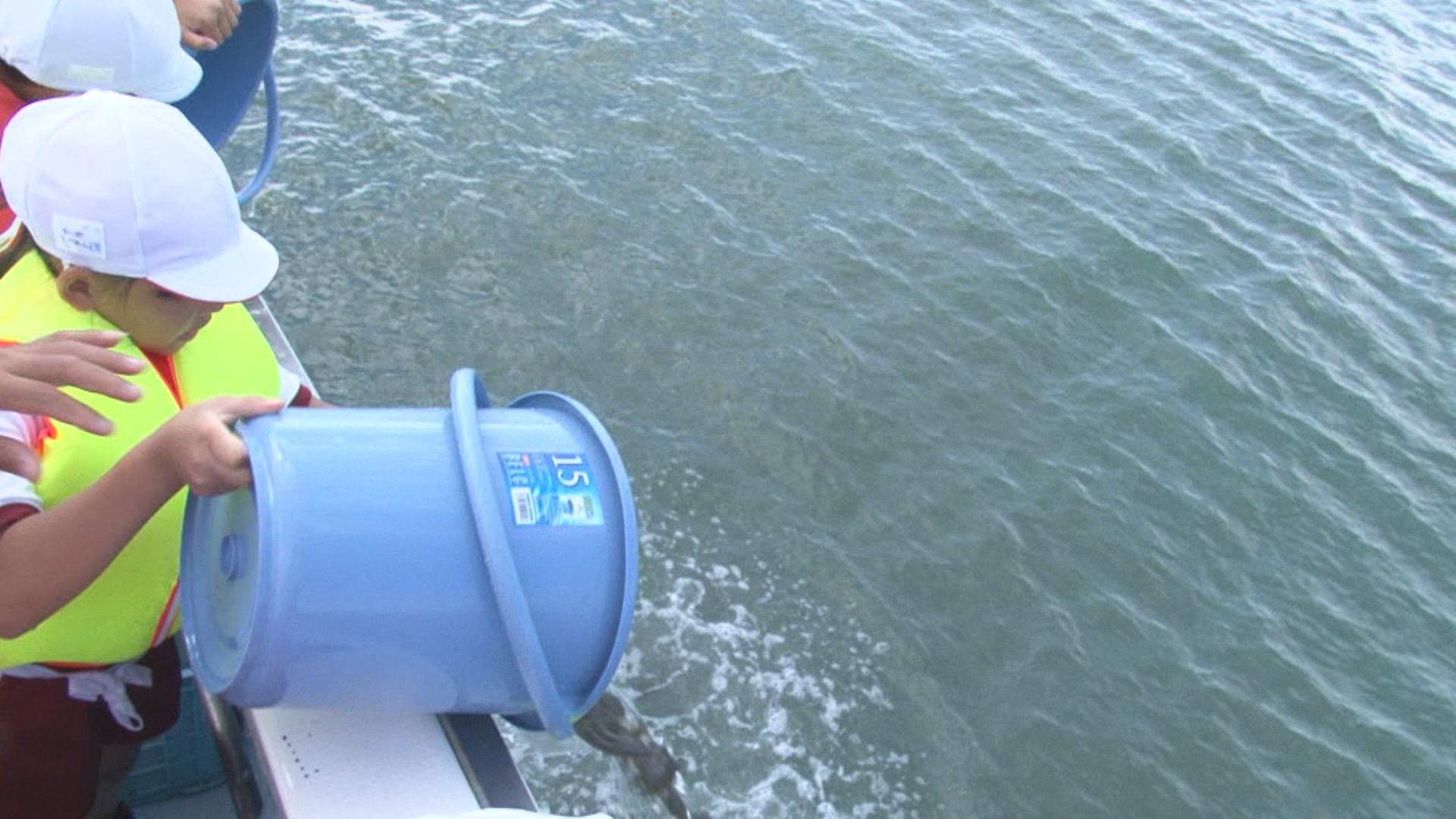 育てて獲る！八千浦小児童 ヒラメ稚魚5,000尾放流