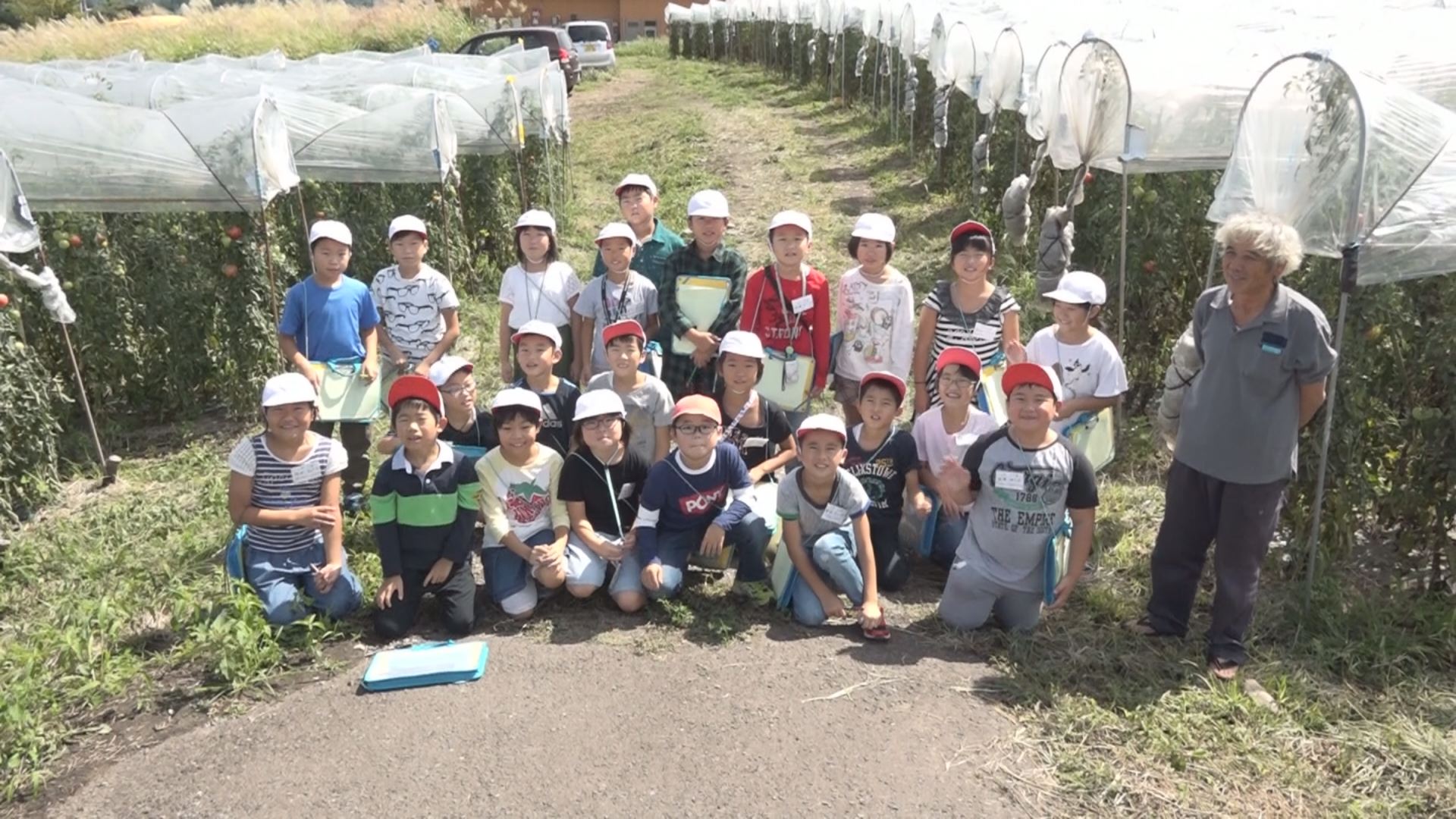 まっ赤なお宝発見！妙高小児童 特産トマト農園見学