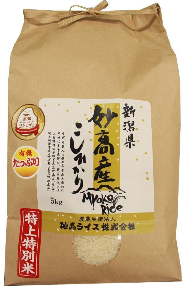 61l+c-nIkqL__SL1000_
