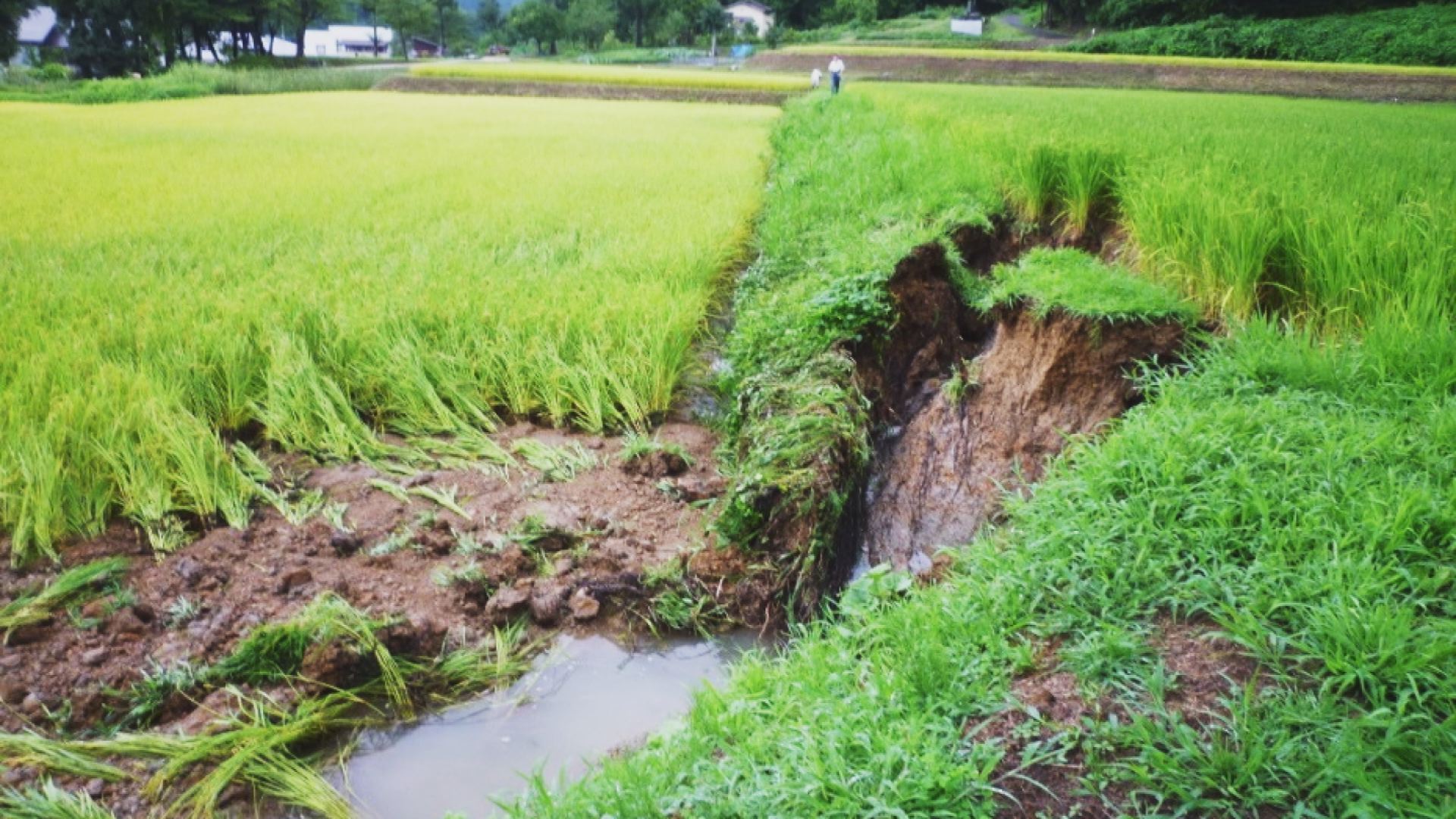 農地の災害復旧を支援　上越市が１億6300万円を追加提案