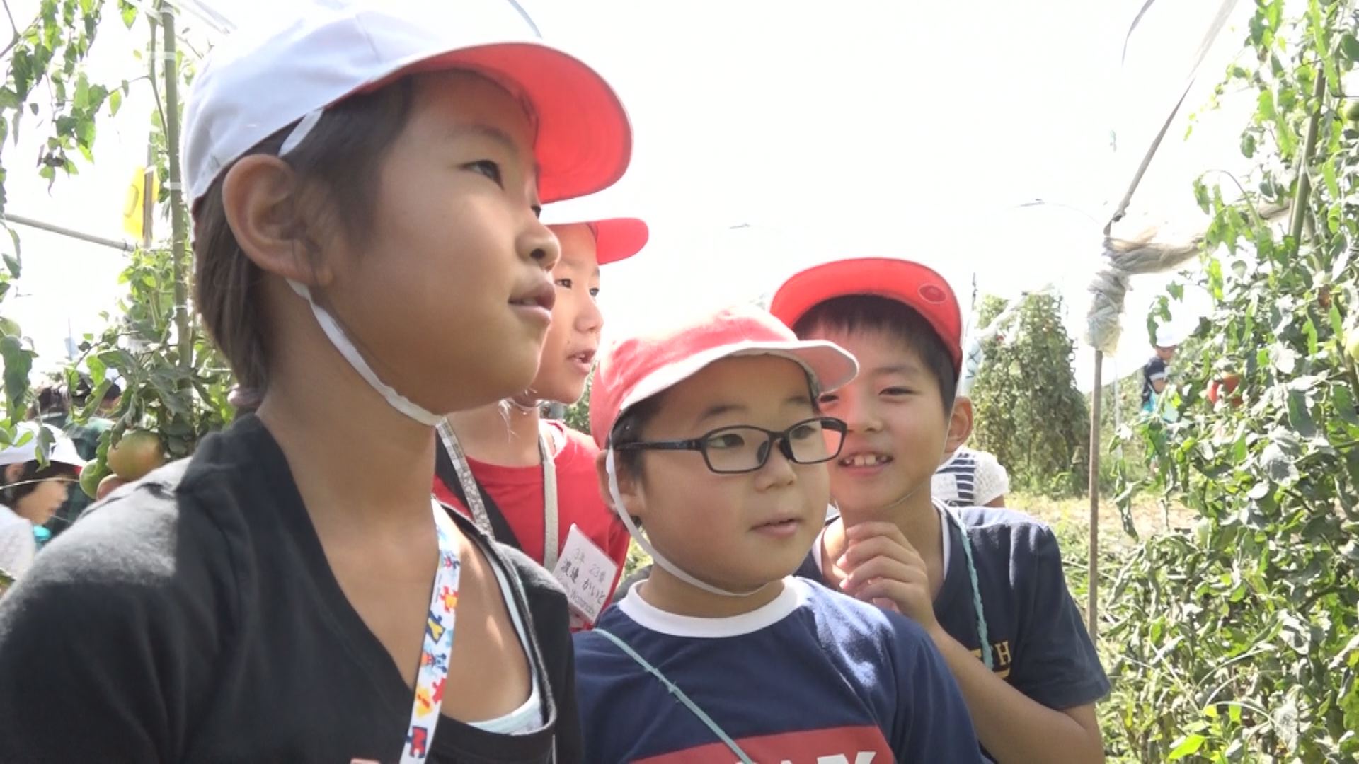 180913_妙高小児童農園見学2