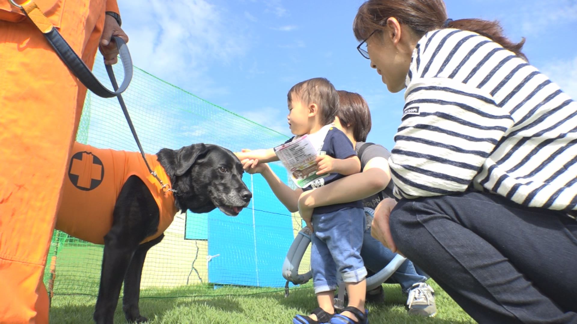 飼い主とペットの信頼深める　動物愛護フェスティバル