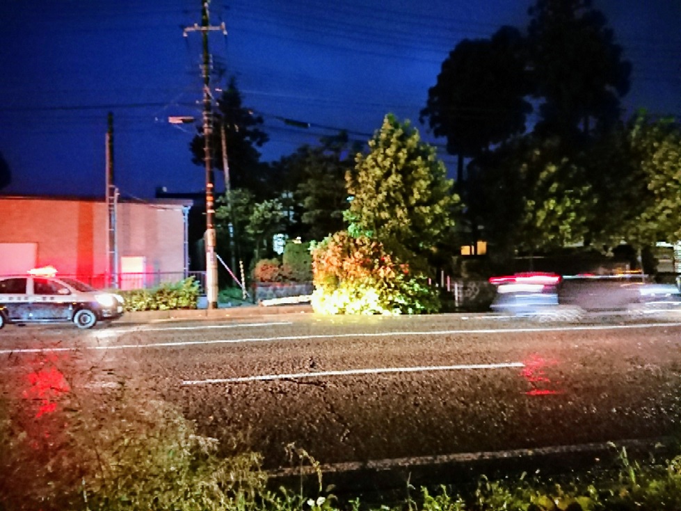 上越市  台風21号による被害状況まとまる