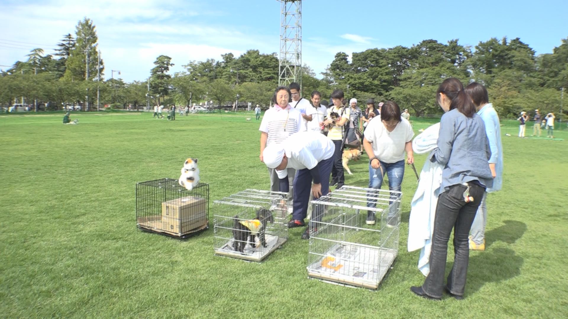 動物愛護4