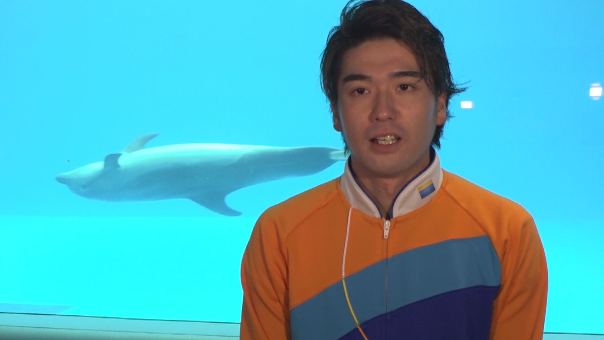 イルカショー トレーナー1