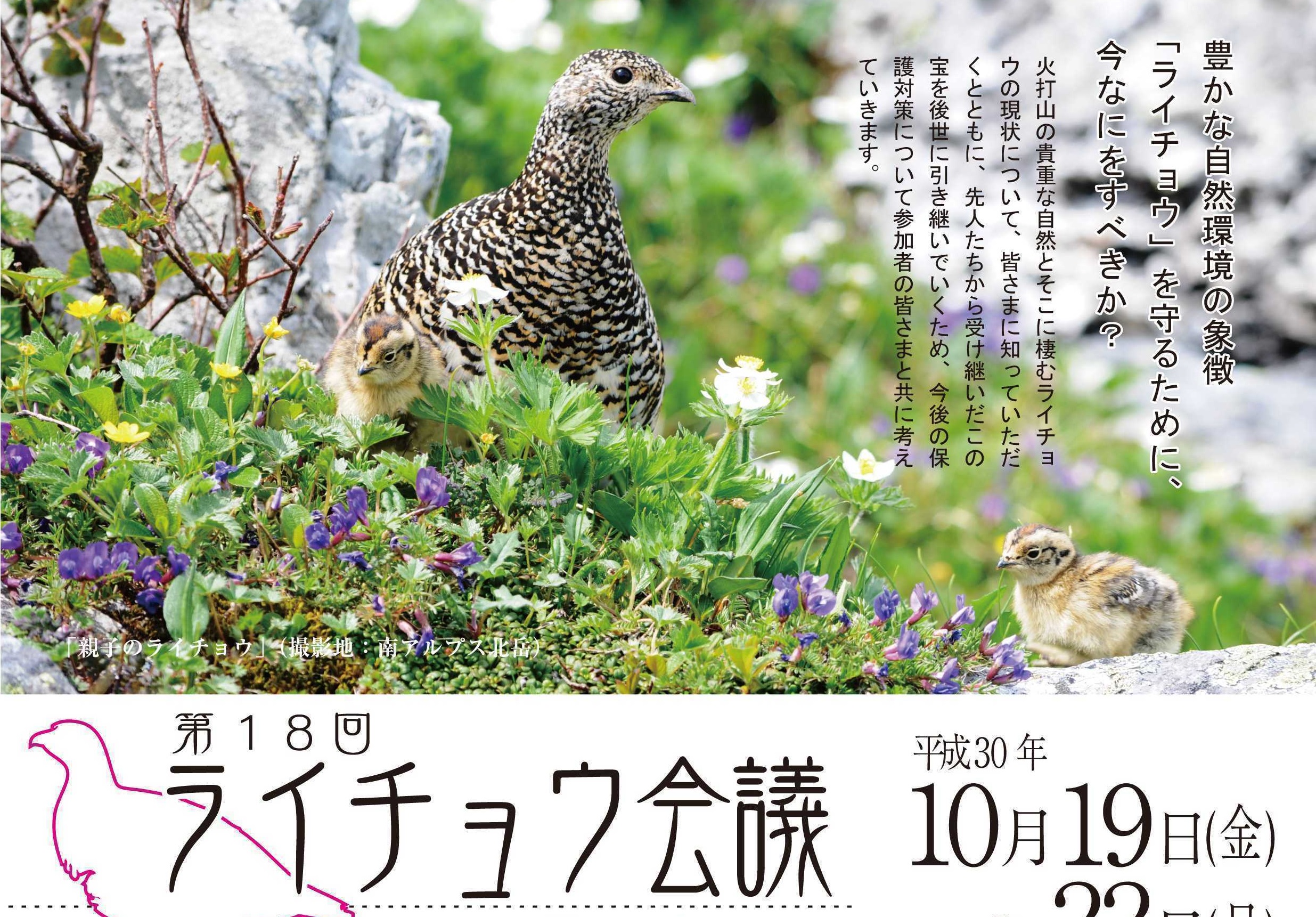 第18回ライチョウ会議 新潟妙高大会 10月19日から
