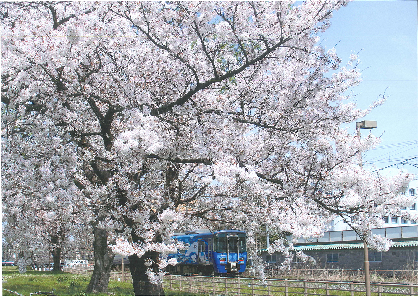 4月：鈴木 利一 様