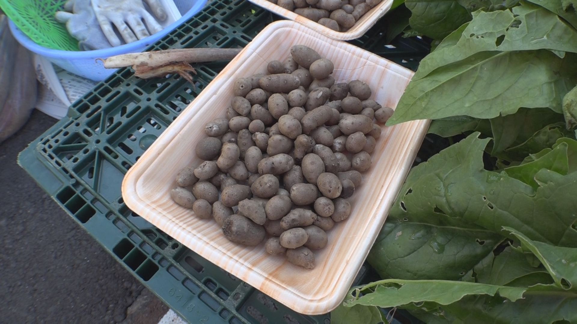 秋の朝市！珍しい味覚も並ぶ