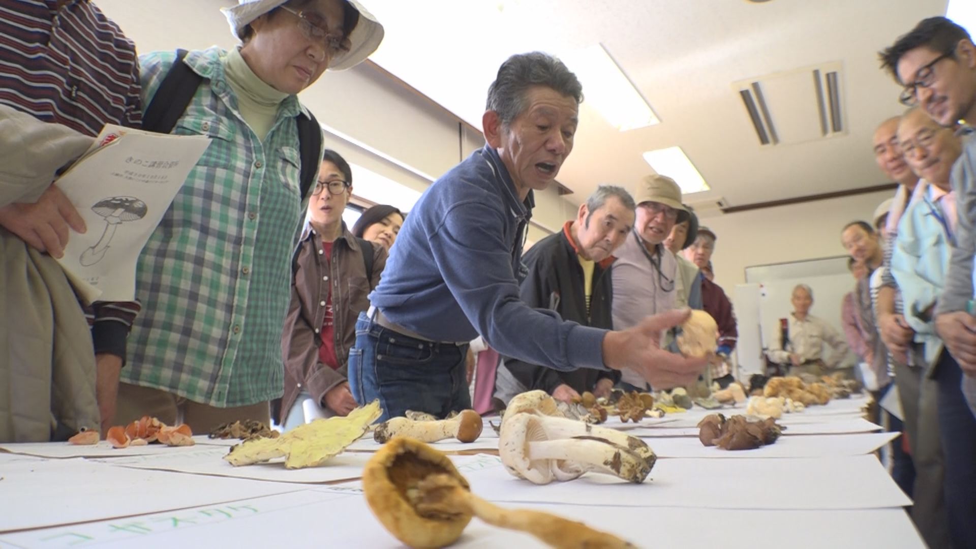 キノコの知識学ぶ講習会 採らない・食べない・あげない！