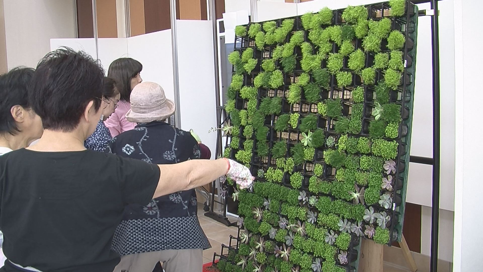 花ロードに植物の振袖登場！