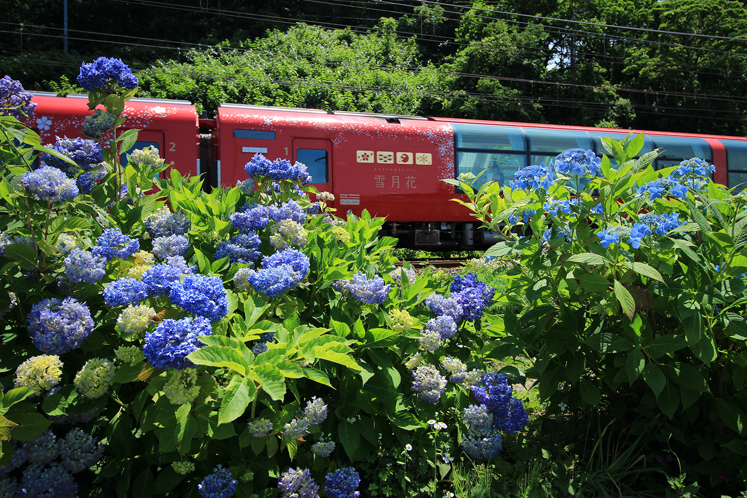 6月：沼川 竜哉 様