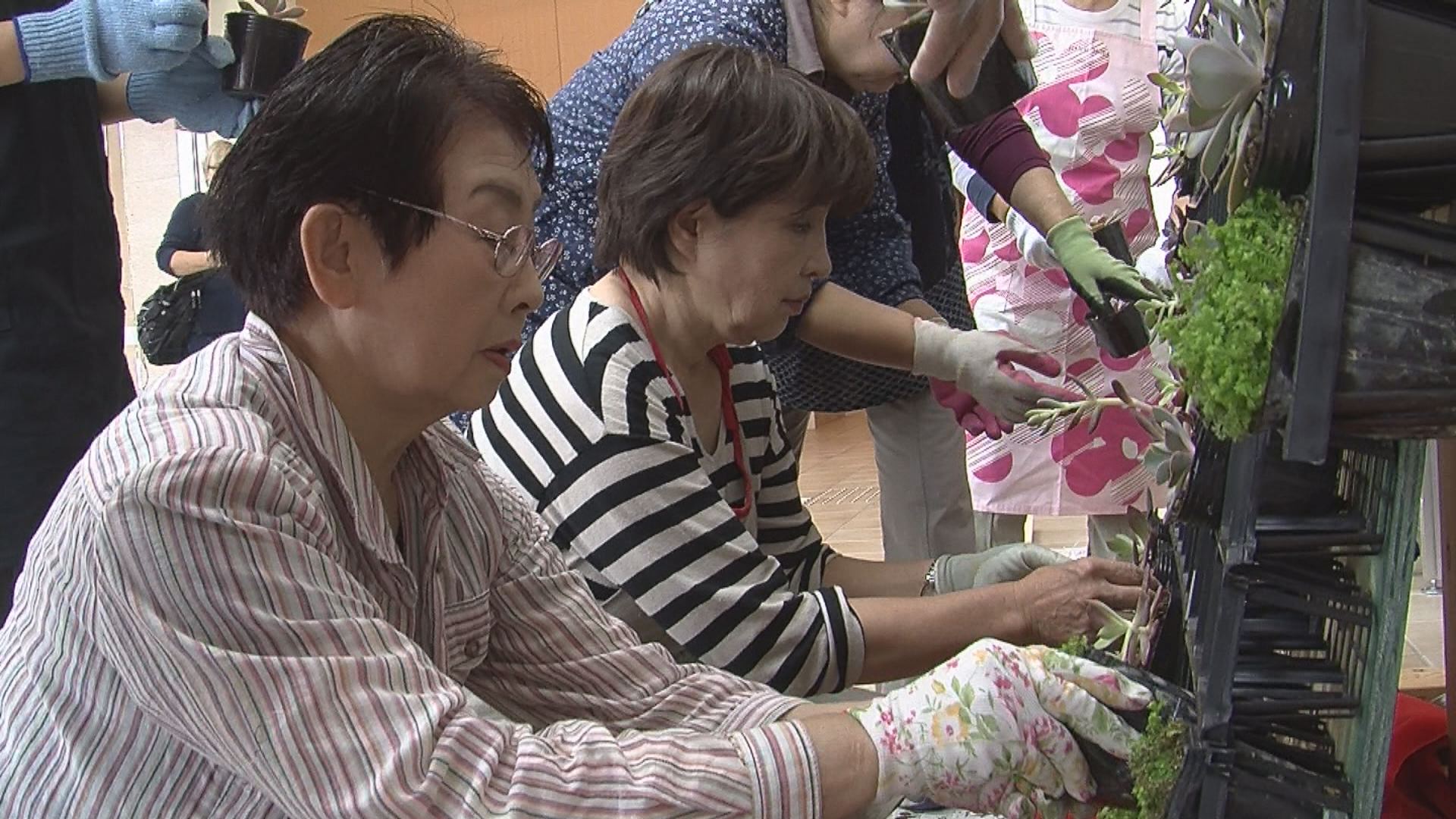 181005_城下町高田花ロードで植物の振袖3
