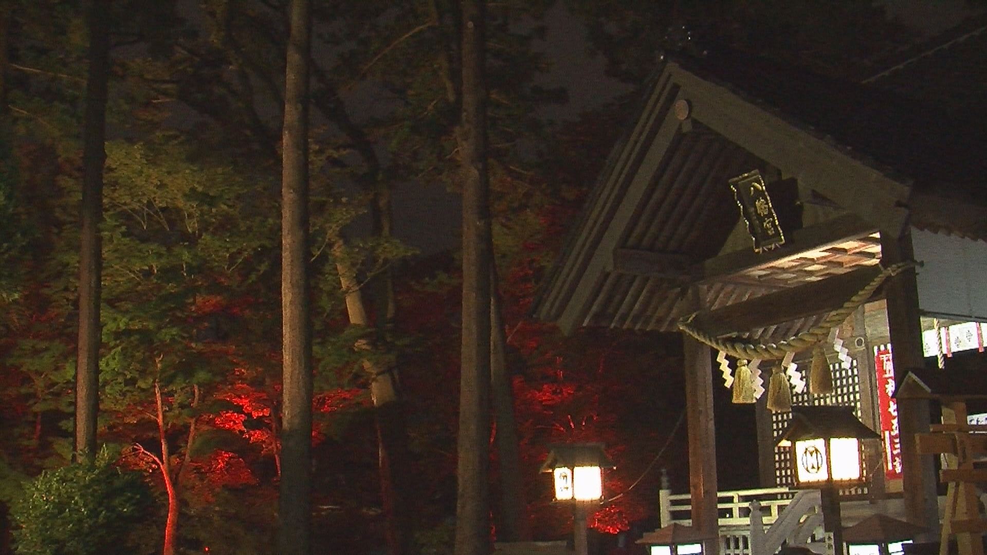 181107_陀羅尼八幡神社モミジのライトアップ2
