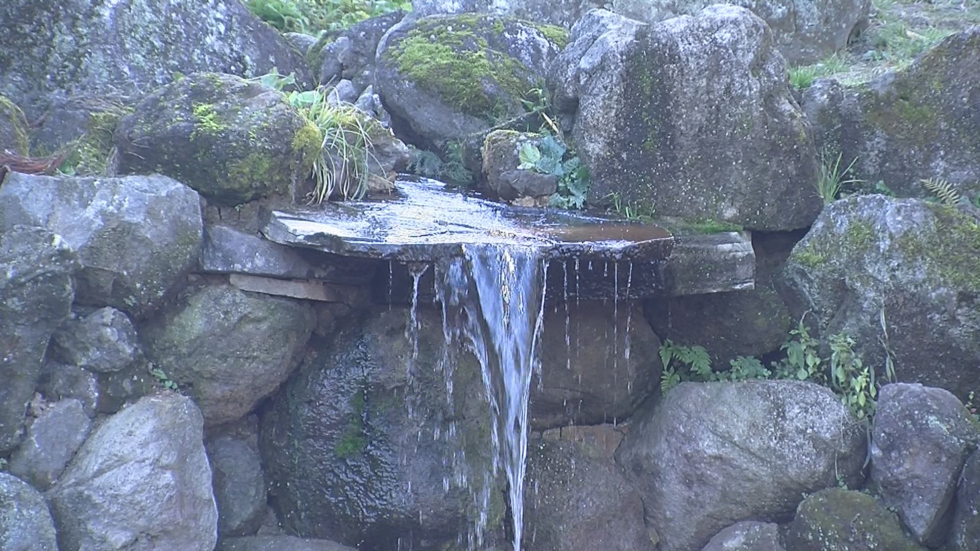 181105_旧関山宝蔵院庭園一般公開3