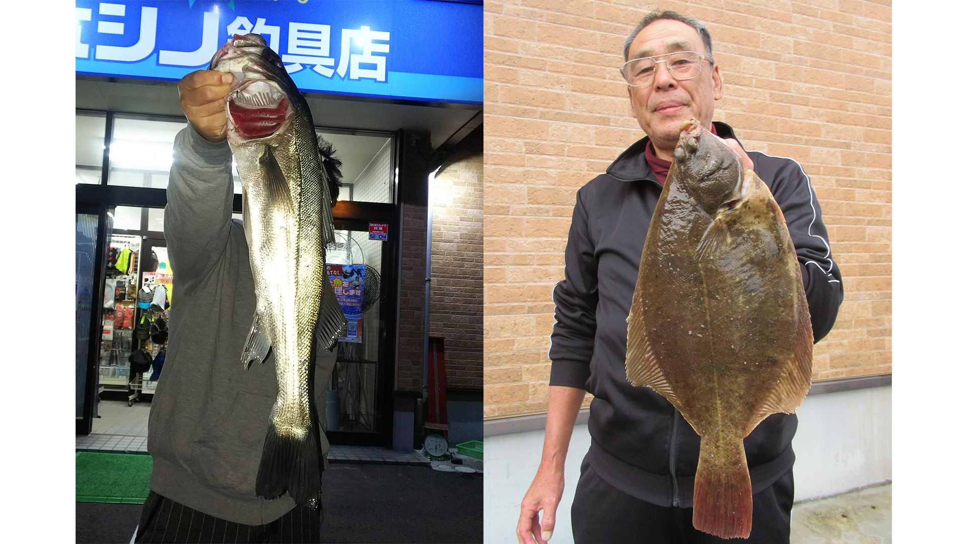 最新釣り情報 40㎝オーバーのカレイ・大アジも釣れています！