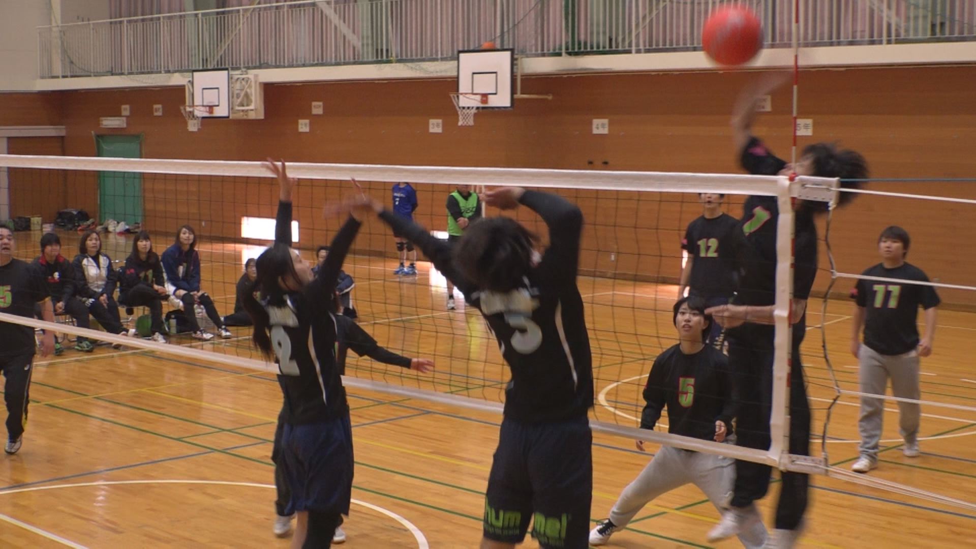激しすぎず、ゆるすぎず！大人のソフトバレーボール大会