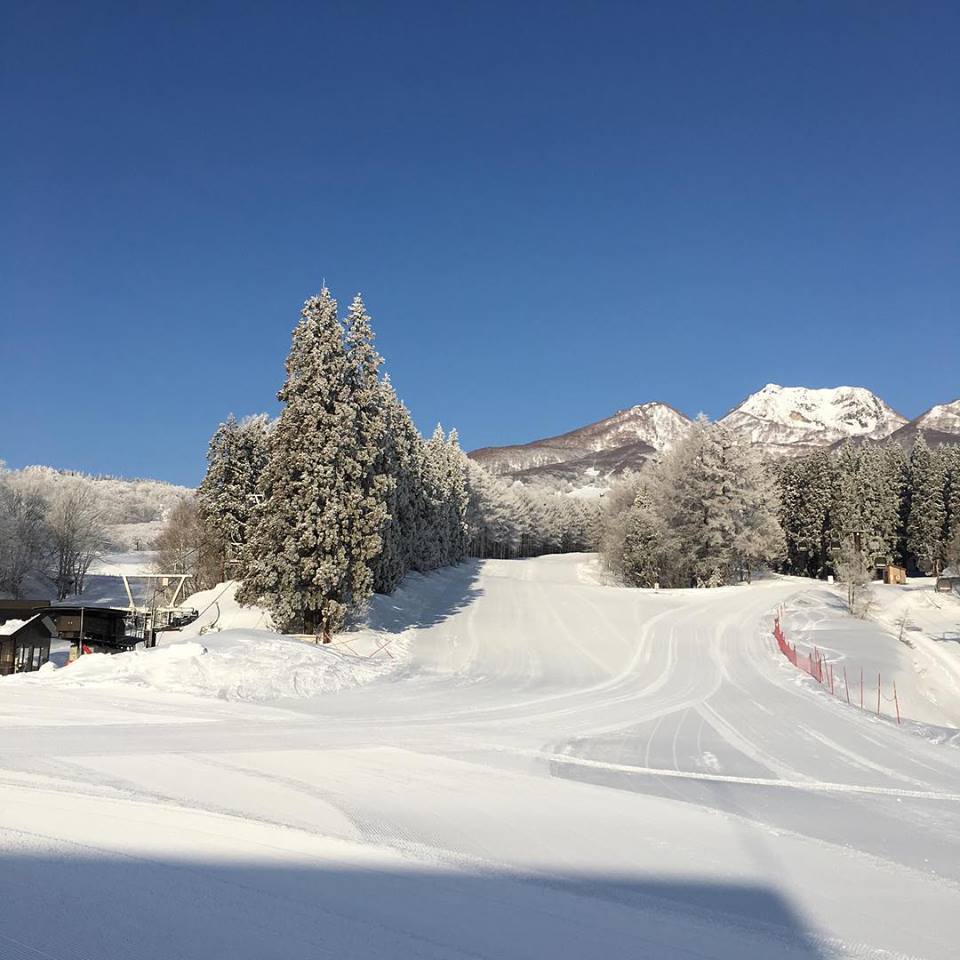 池の平2