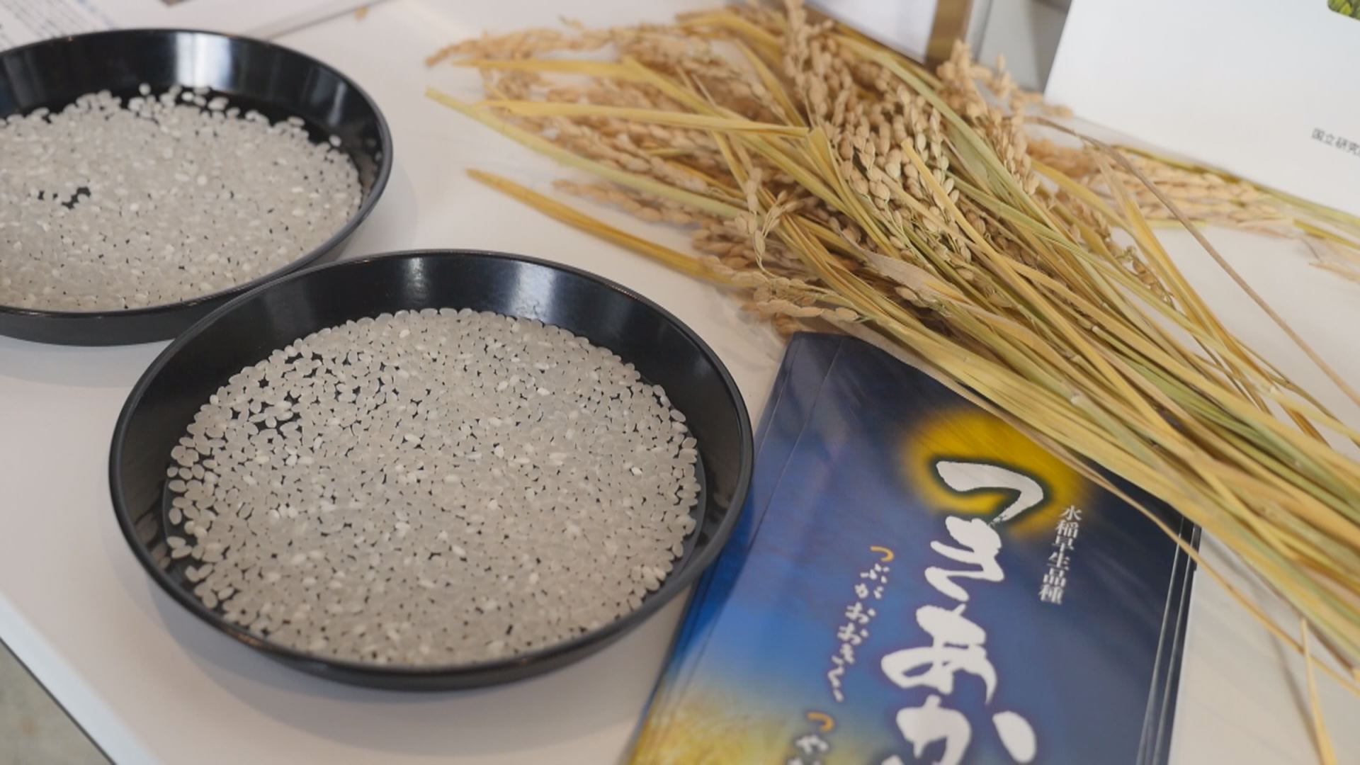 上越市の学校給食 来年４月から「つきあかり」に