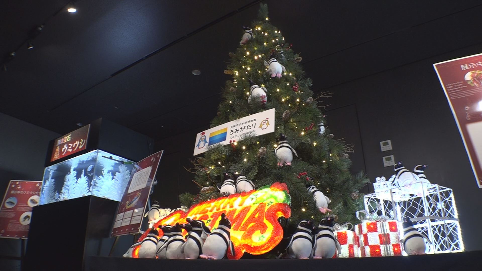 うみがたりクリスマス仕様に！60万人も突破