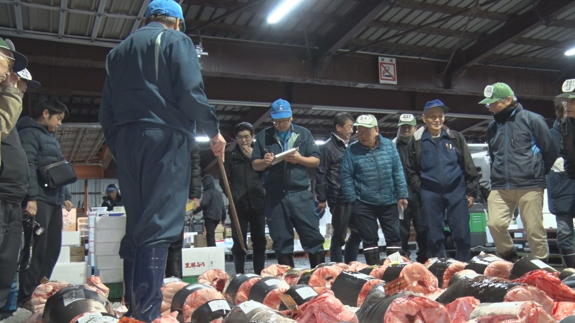 年末恒例“サメの競り” ソウルフードに欠かせません！