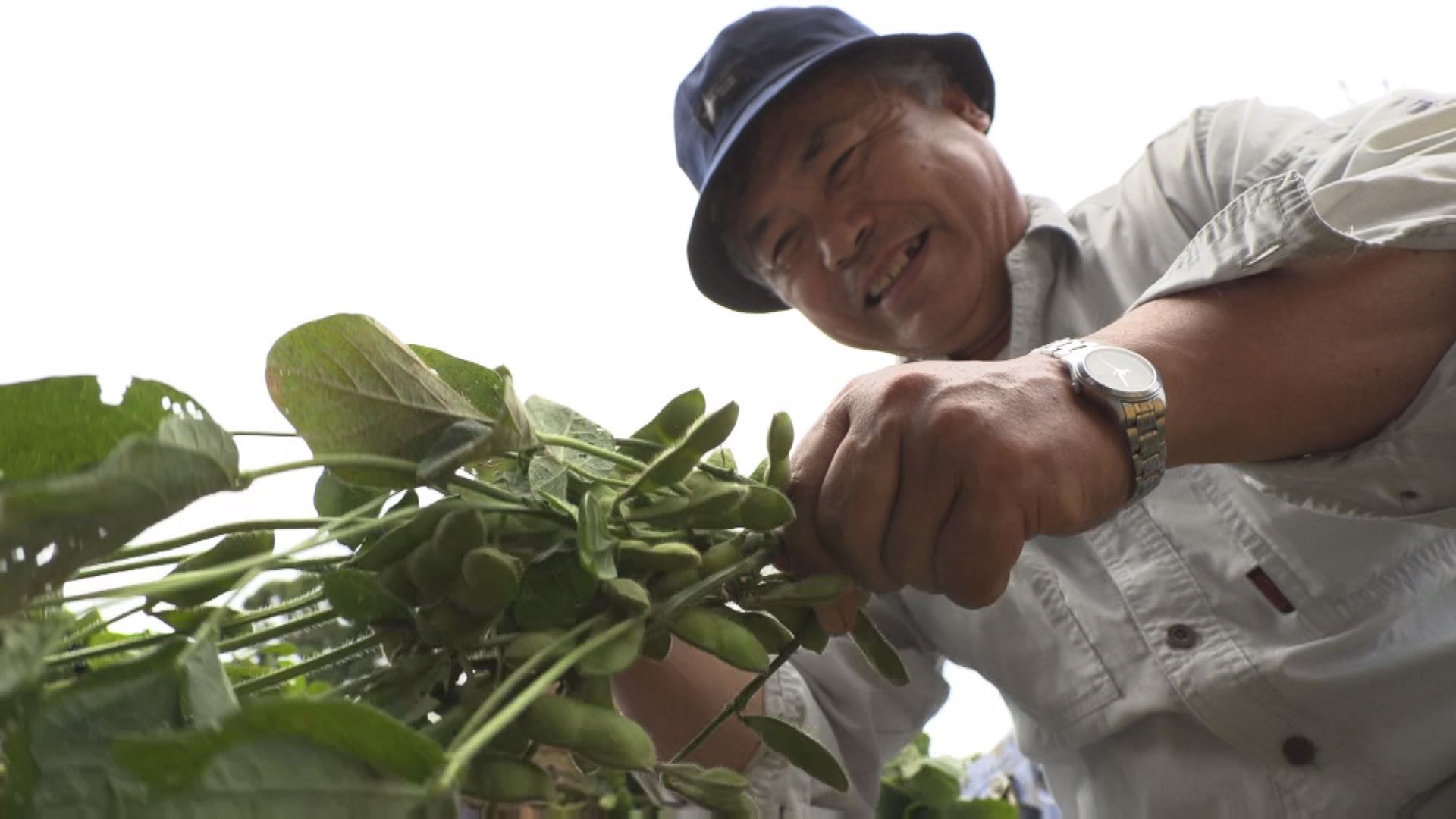9月　わたしの野菜
