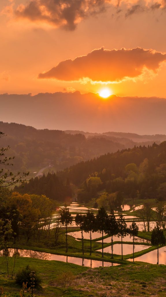 板倉　棚田（夕陽）