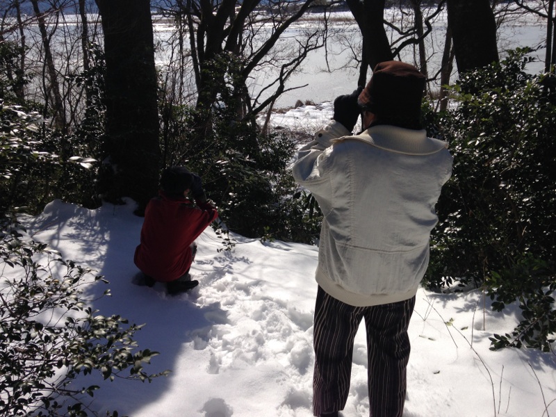 2019.1.9　潟来さんぽ　広報用