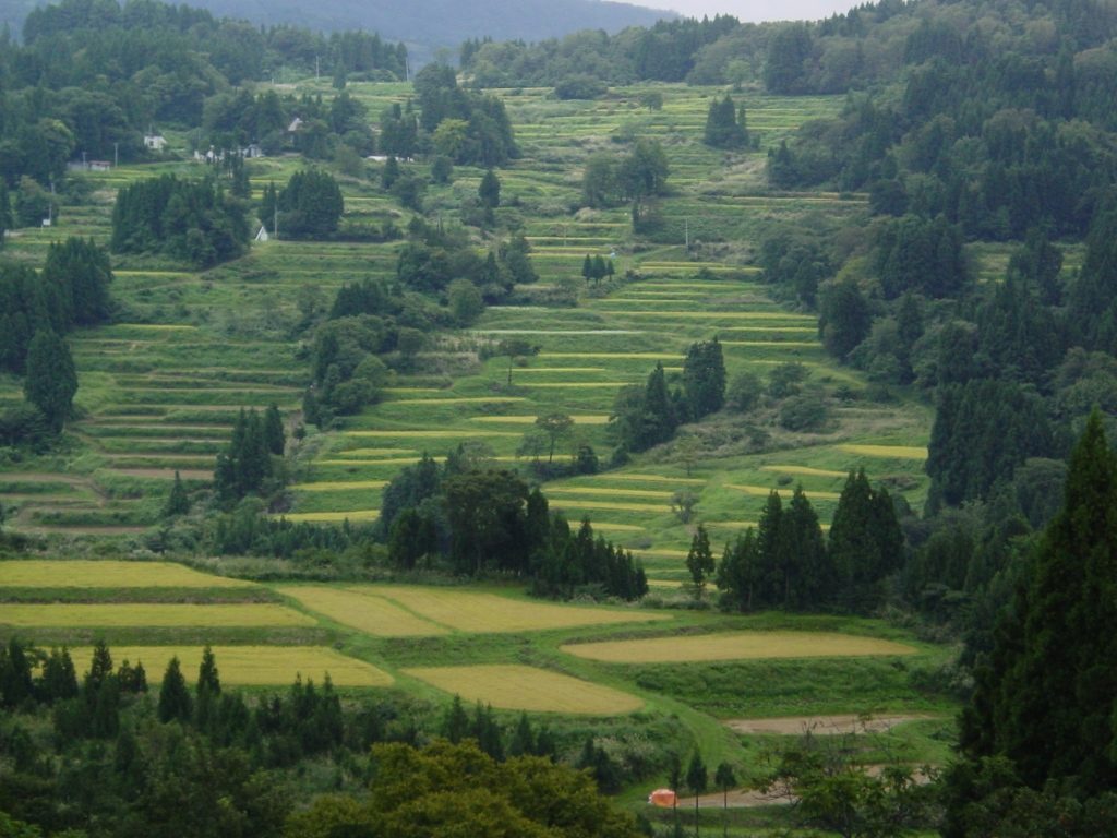 上船ｗ棚田