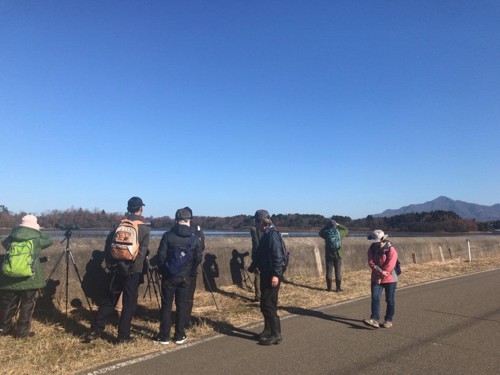 2019.1.13　野鳥観察会　広報用