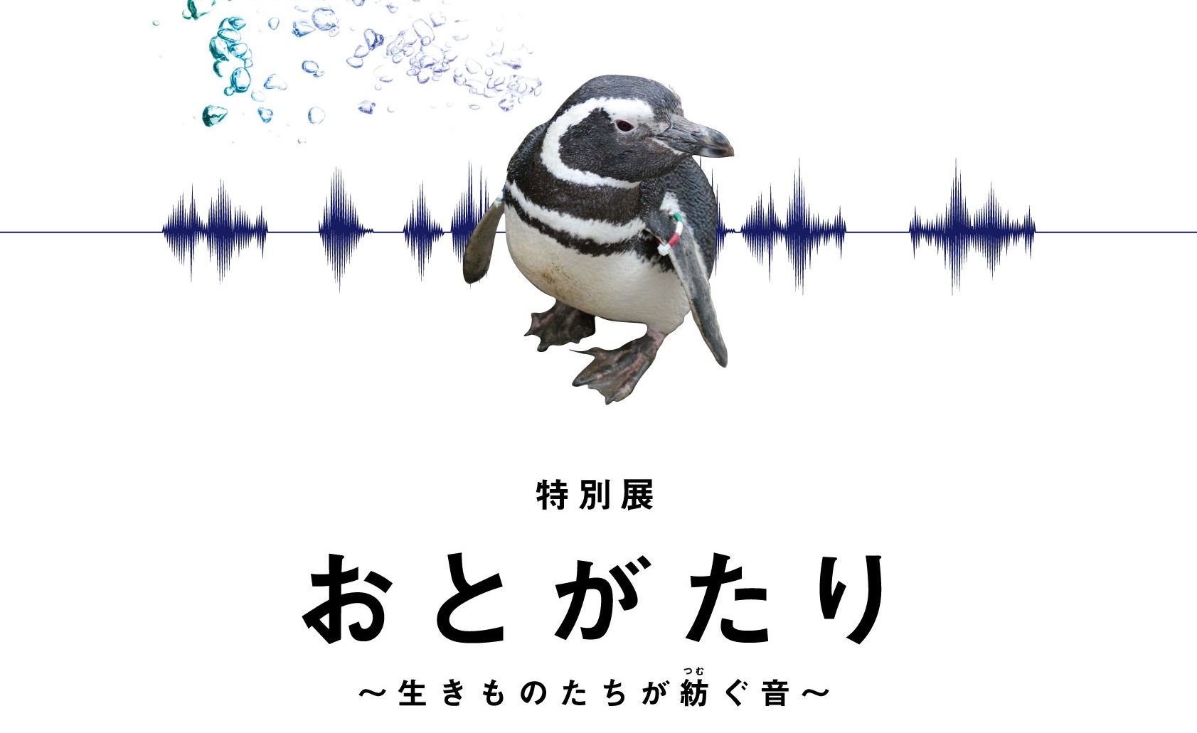 うみがたり初の特別展「おとがたり」 2月16日から