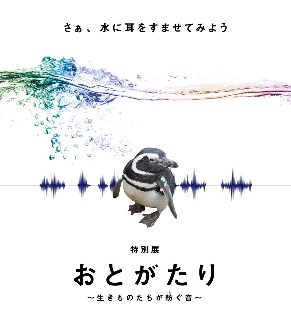 20190201_otogatari_main_2