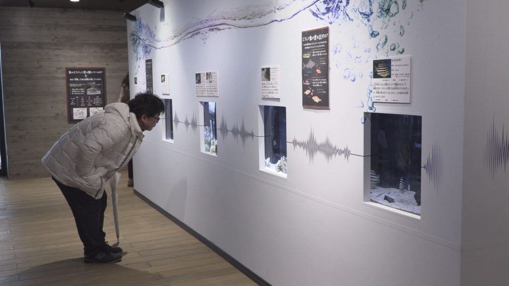 190218_うみがたりで特別展示おとがたり4
