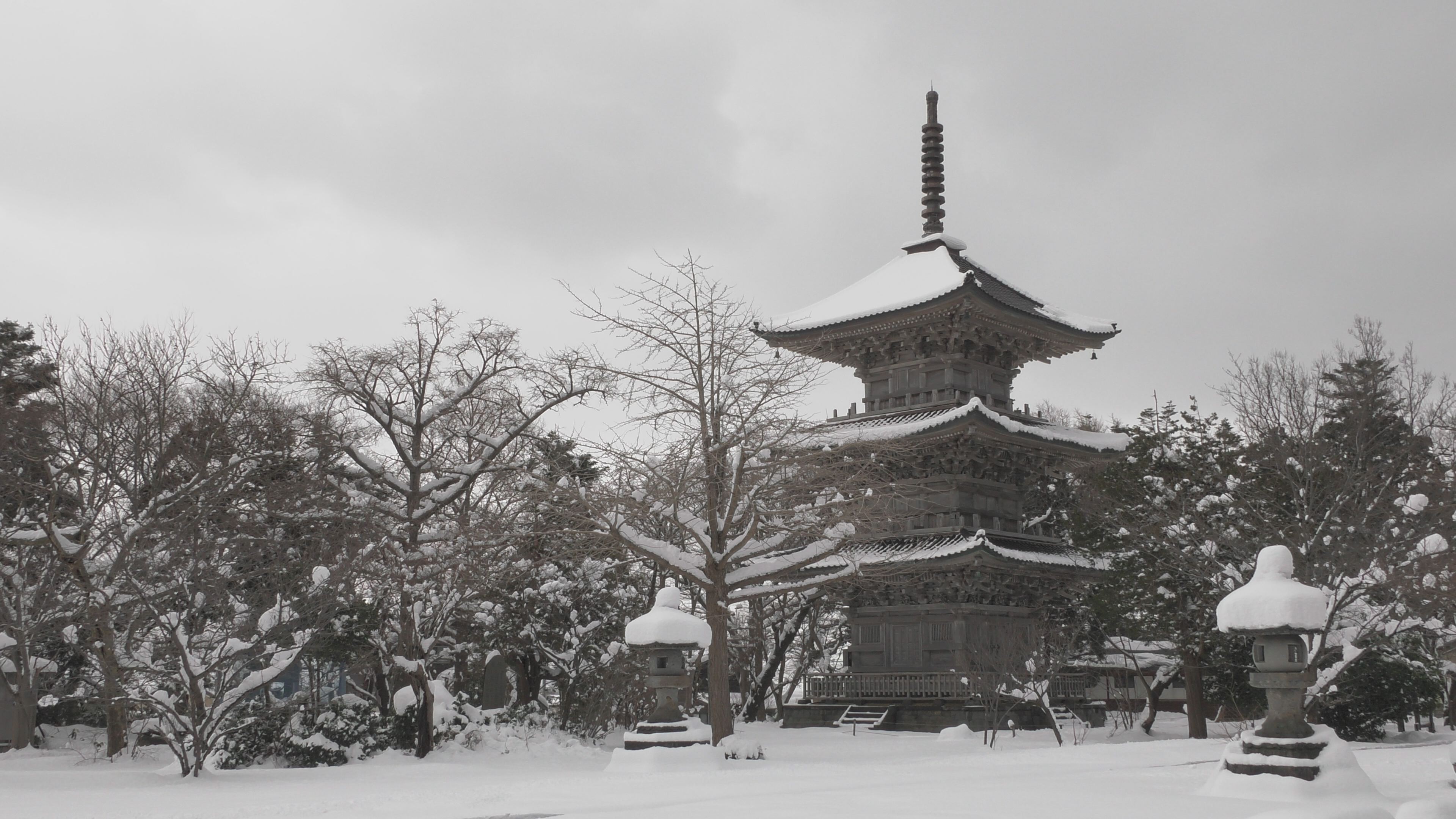 【動画】五智国分寺の雪景色 撮影：2月14日