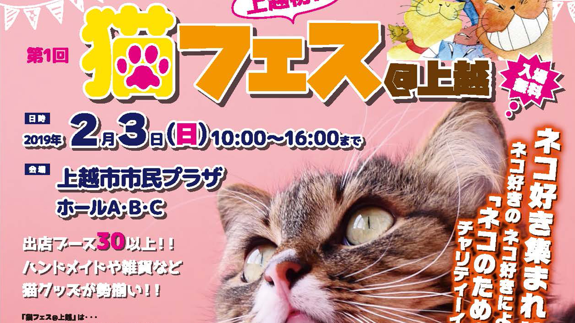 上越初！「猫フェス＠上越」 2月3日（日）開催