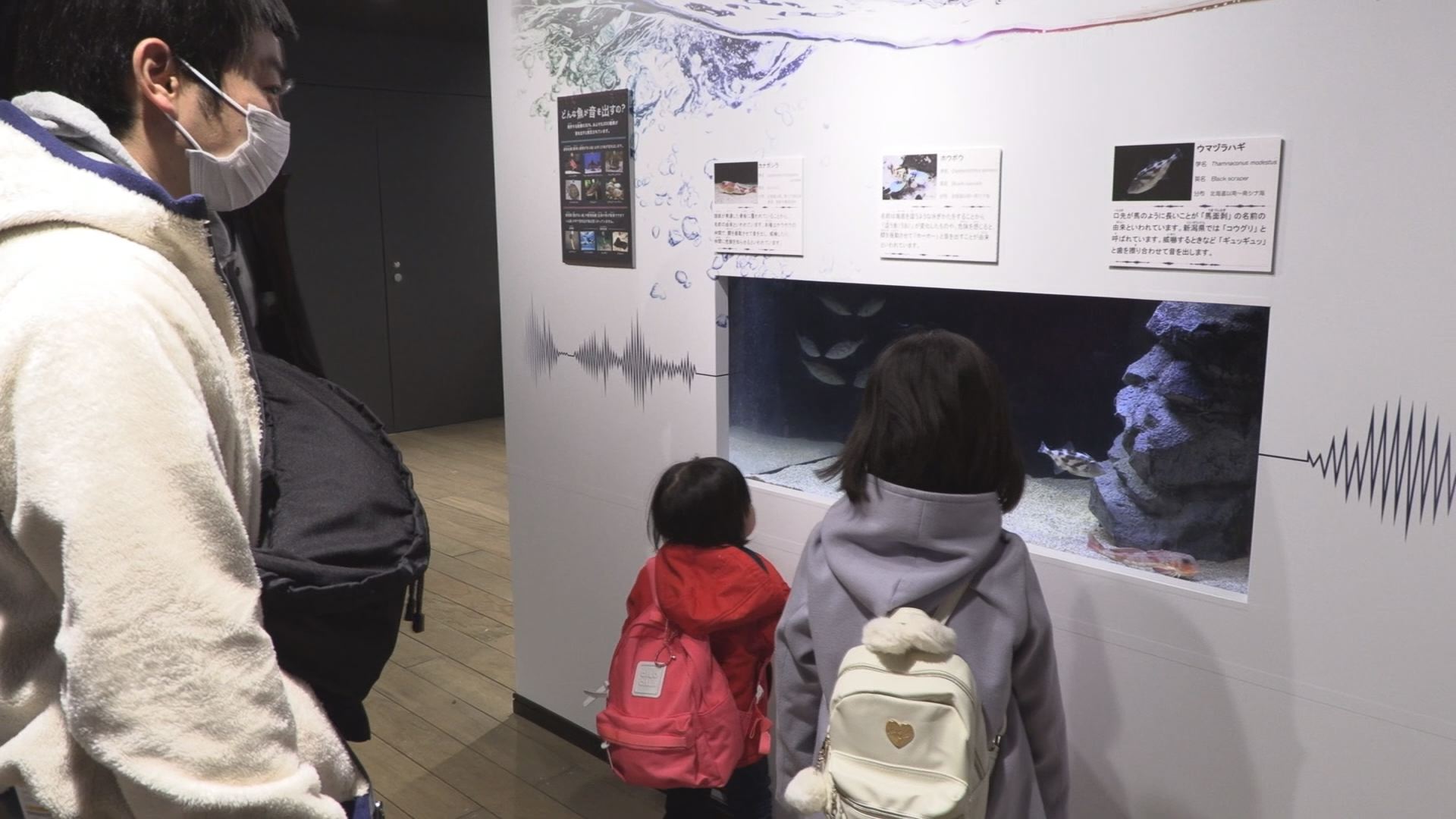 耳で魚を観察 うみがたりで特別展示