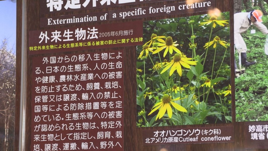 190213_ビジターセンター外来種冊子2