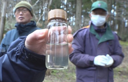 不思議な森の味？！大潟で樹液を採取