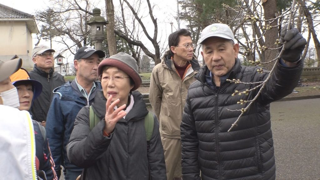 190325_春の桜ウォッチング