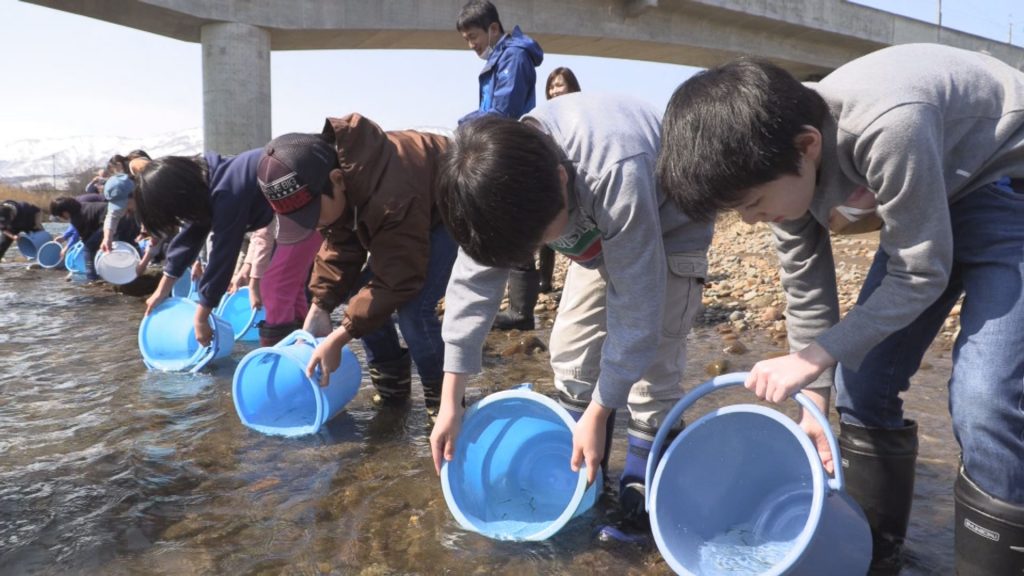 190315_和田小学校４年生 サケの稚魚放流