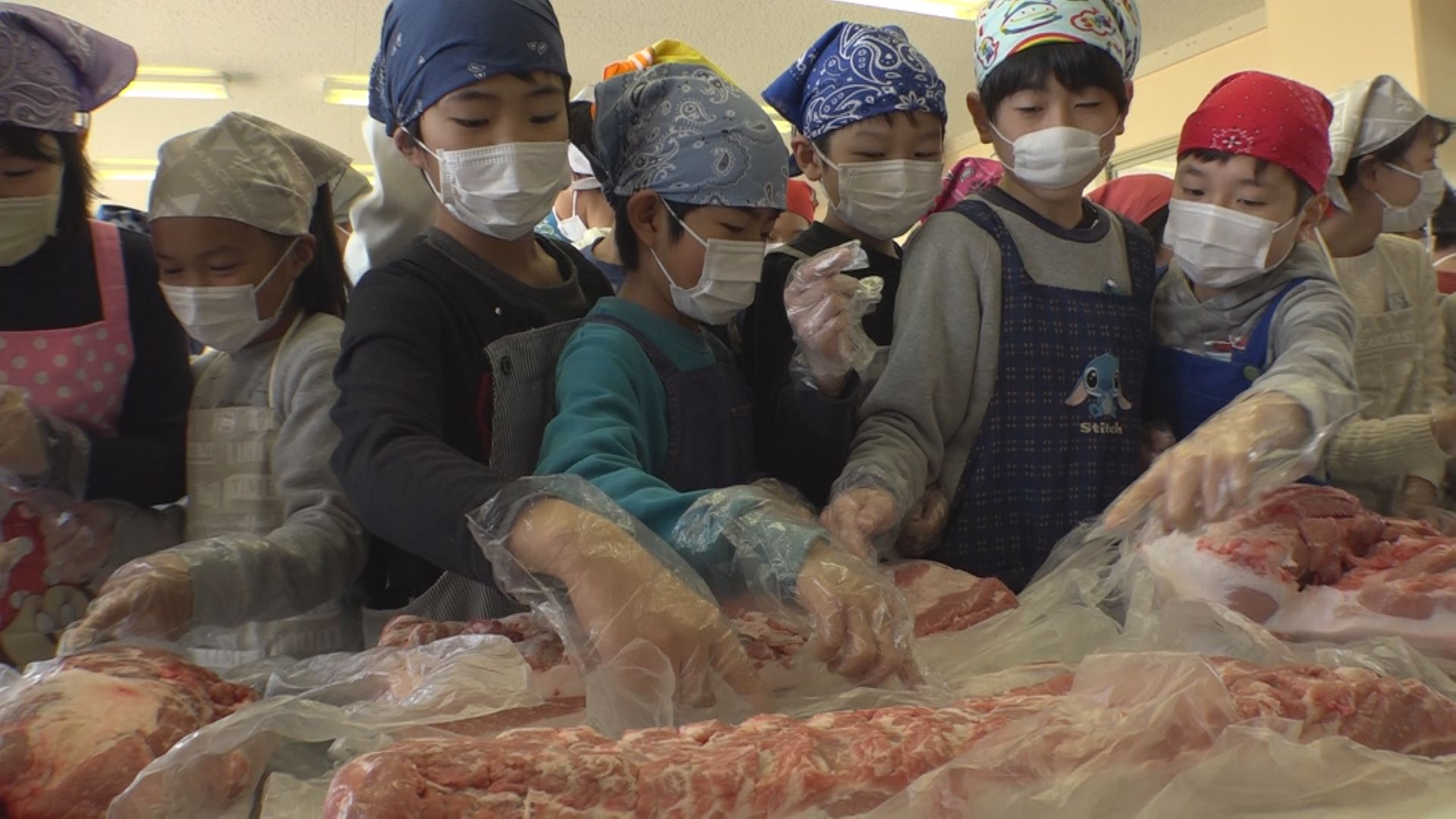 新井中央小5年生  豚の精肉作業と食べ比べで「食と命」学ぶ