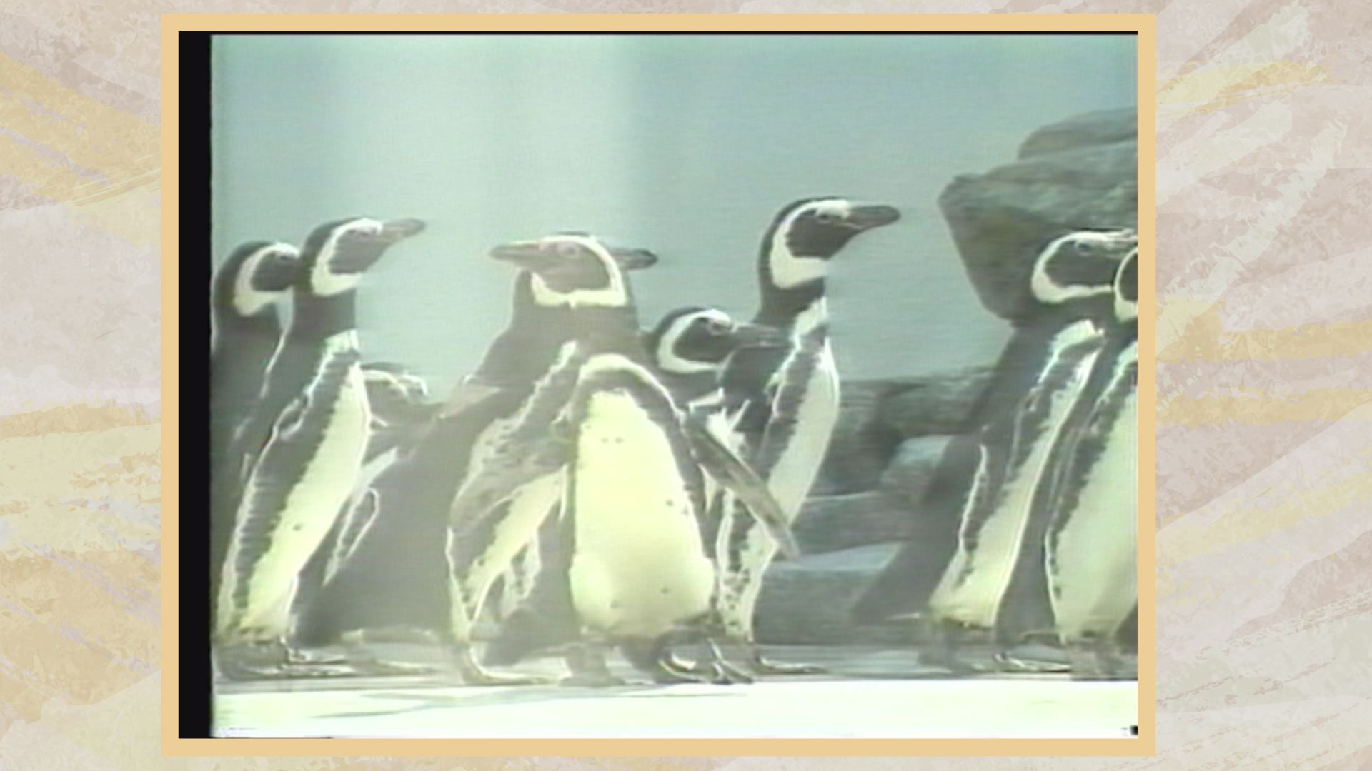 映像でふり返る平成 旧水族館ペンギンランドオープン(H5.4)